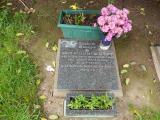 image of grave number 578505